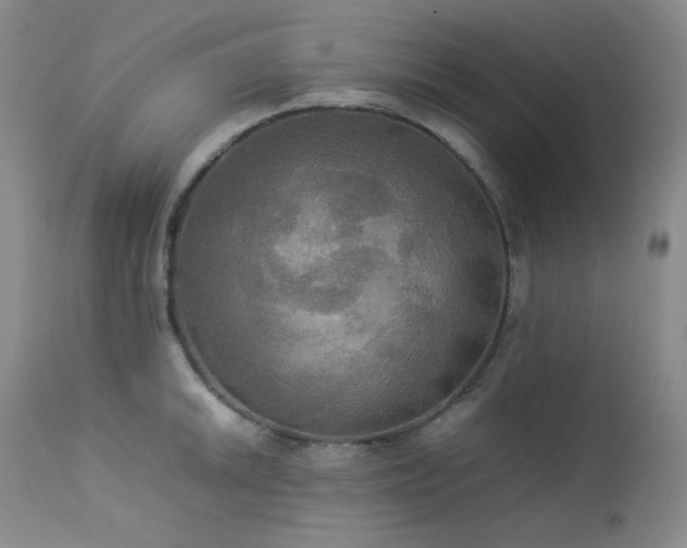 X0000114111046200910051508