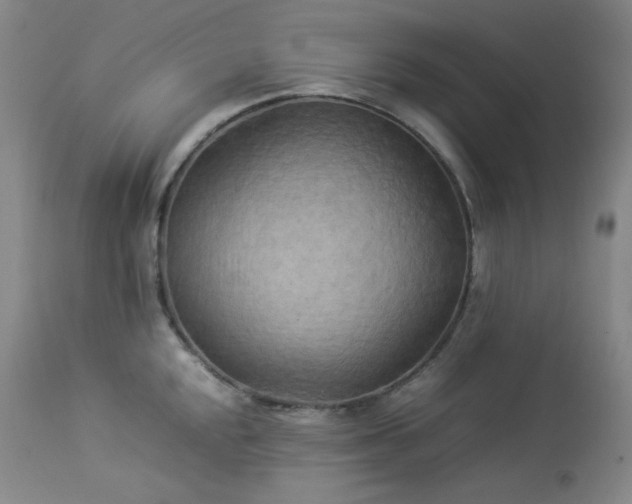 X0000114111048200910051508