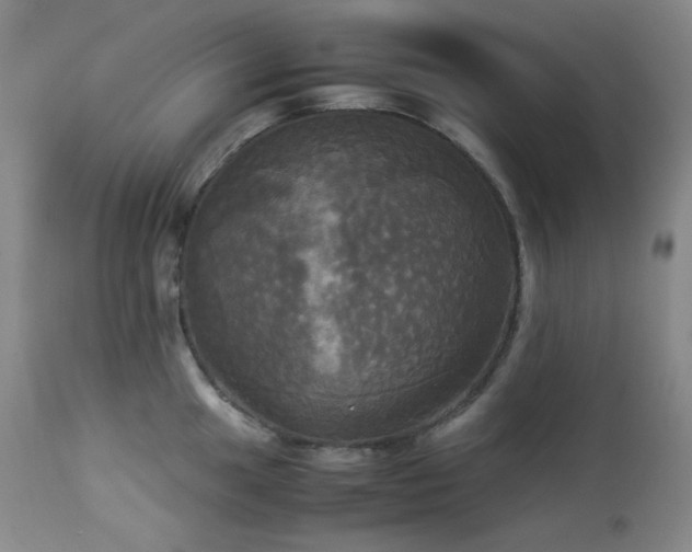 X0000114111049200910051509