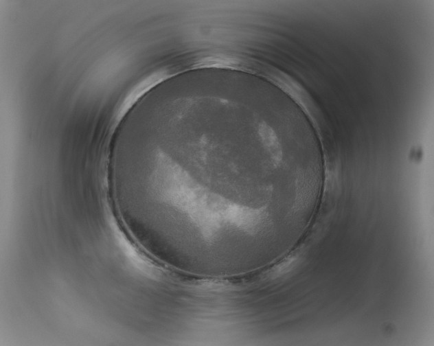 X0000114111050200910051509