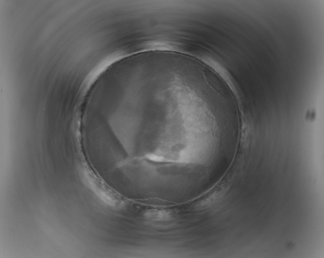 X0000114111051200910051509