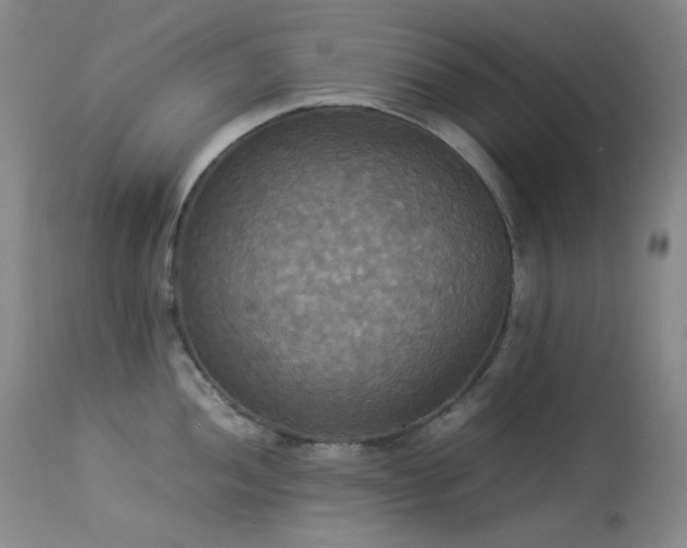 X0000114111052200910051509