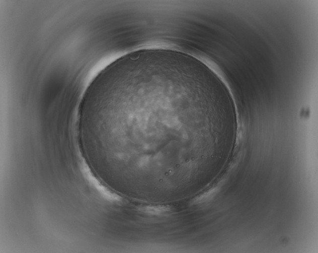 X0000114111053200910051509