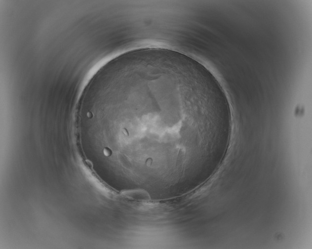 X0000114111056200910051509
