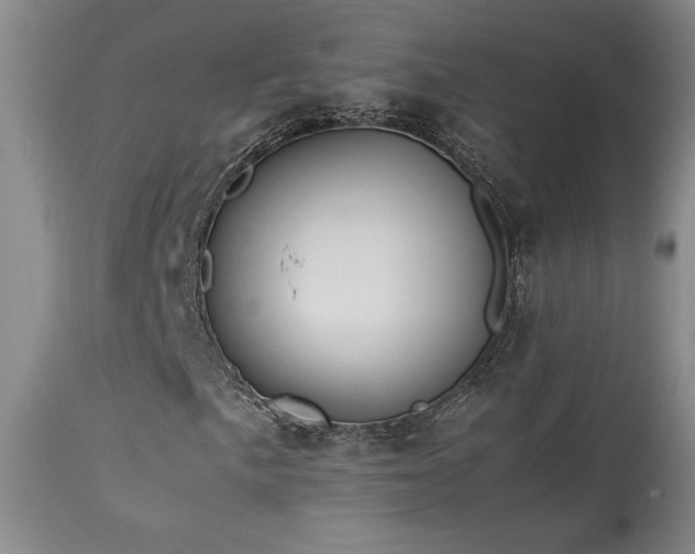 X0000114111057200910051508
