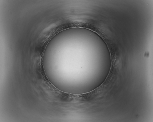 X0000114111061200910051508