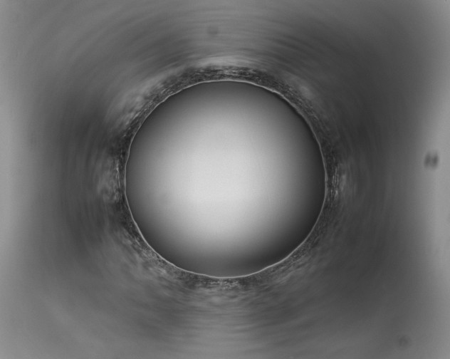 X0000114111062200910051508