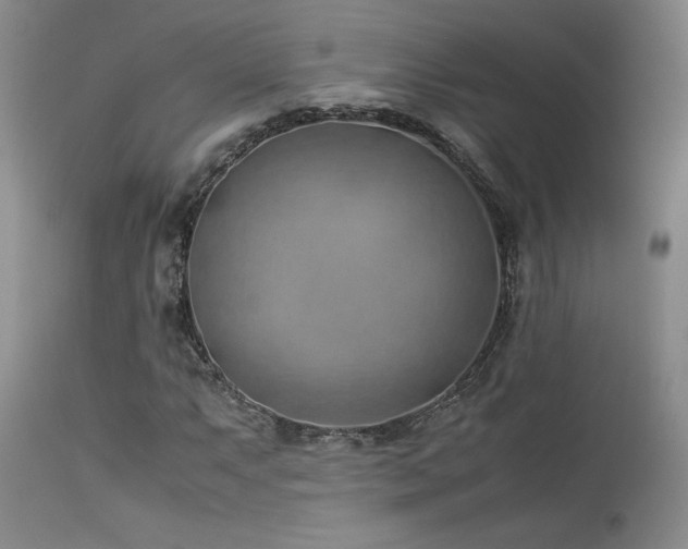 X0000114111063200910051508