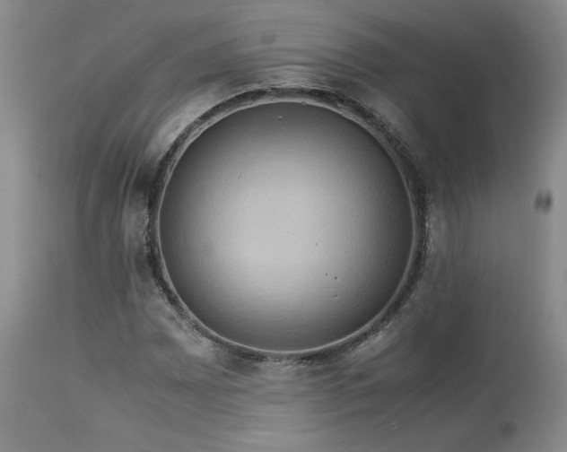 X0000114111065200910051508