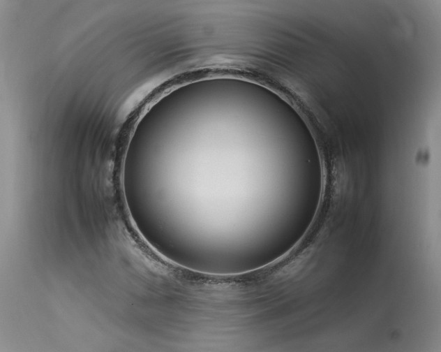 X0000114111066200910051508