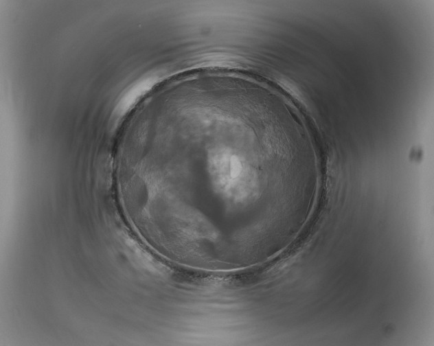 X0000114111067200910051508