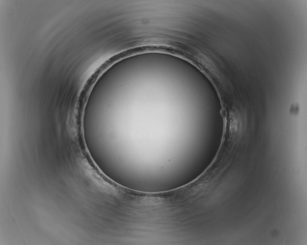 X0000114111068200910051508
