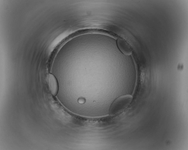 X0000114111069200910051508