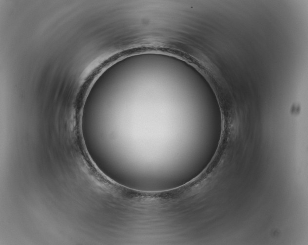 X0000114111070200910051508