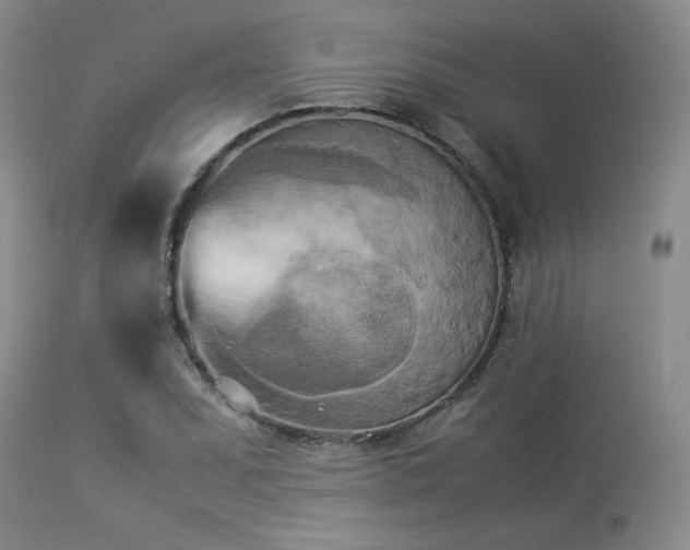 X0000114111071200910051508