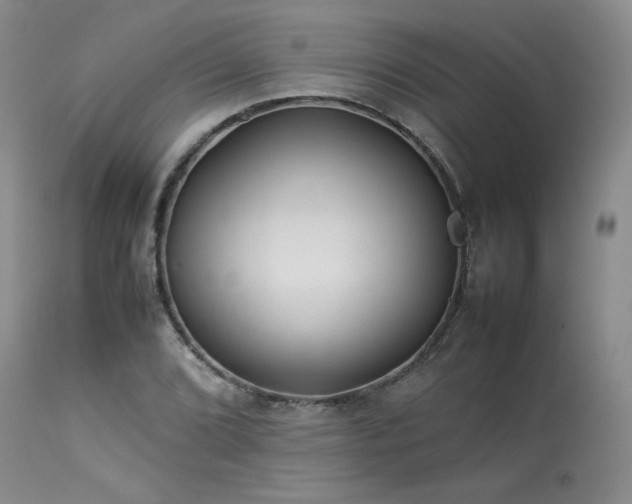 X0000114111072200910051508