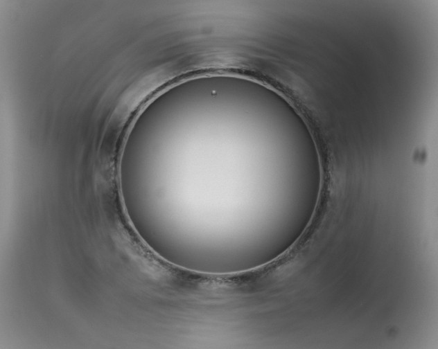X0000114111073200910051508