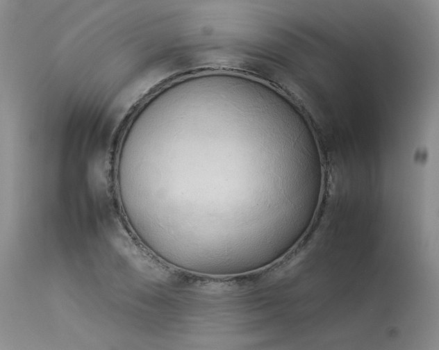 X0000114111074200910051508