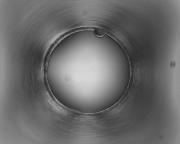 X0000114111076200910051508