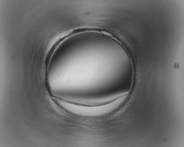 X0000114111077200910051507