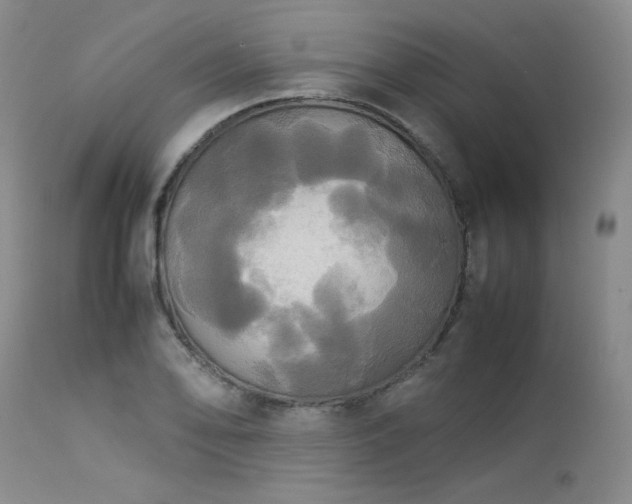 X0000114111078200910051507