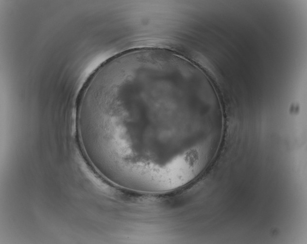 X0000114111079200910051507