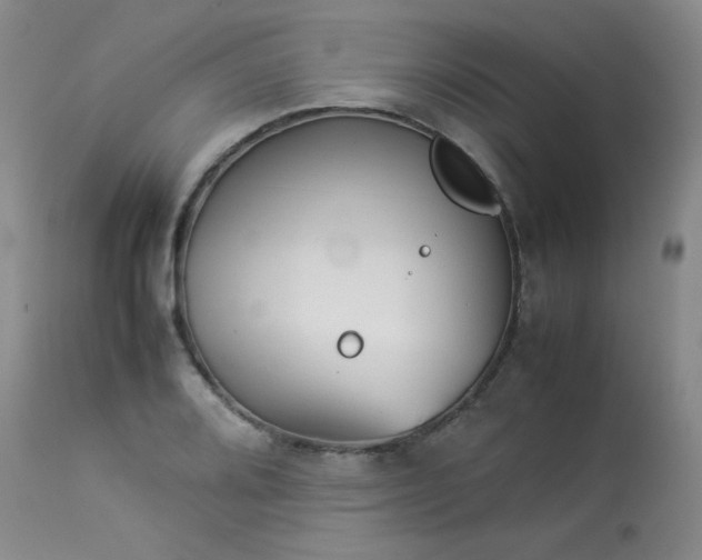 X0000114111080200910051507