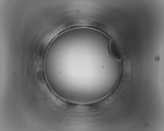 X0000114111081200910051507