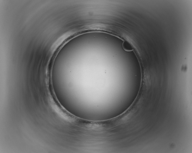 X0000114111082200910051507