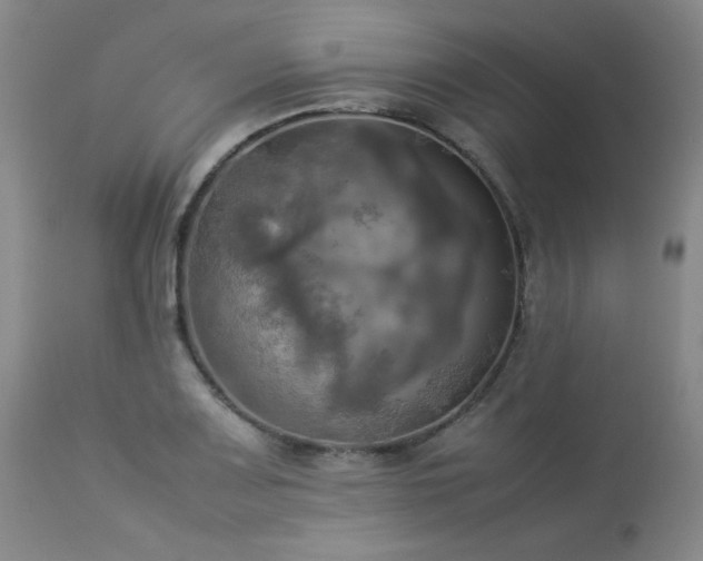 X0000114111083200910051507