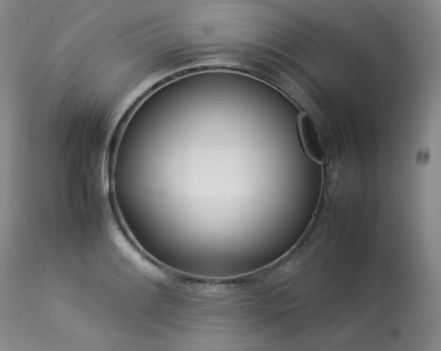 X0000114111084200910051507