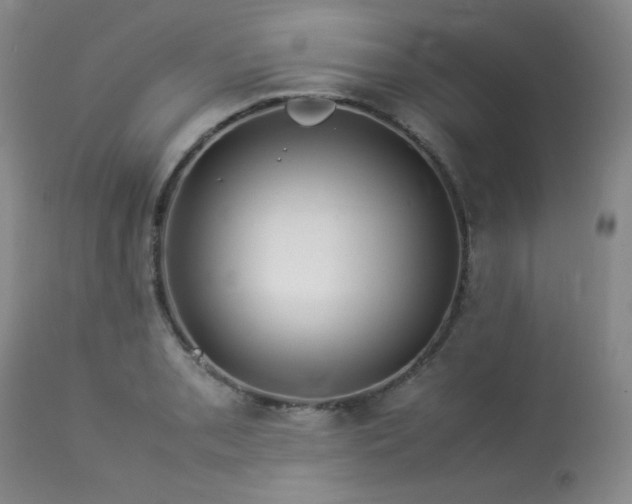 X0000114111085200910051507
