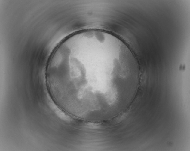 X0000114111086200910051507