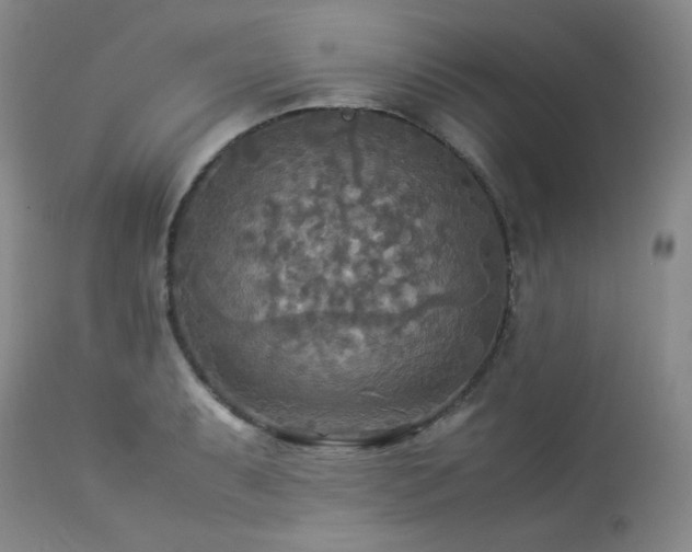 X0000114111087200910051507
