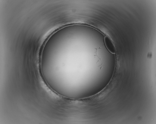 X0000114111088200910051507