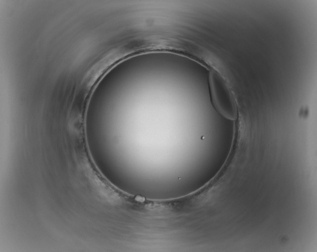 X0000114111089200910051507