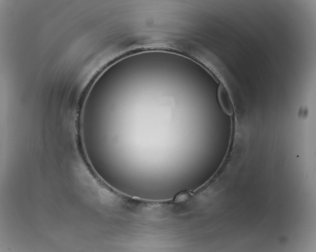 X0000114111093200910051507