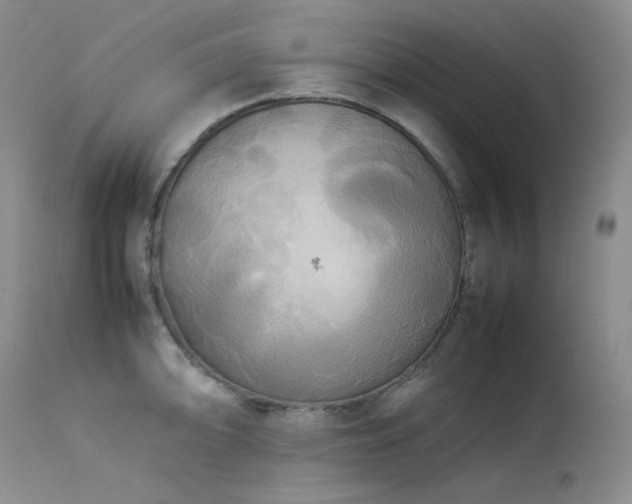 X0000114111094200910051507