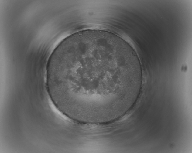 X0000114111095200910051507