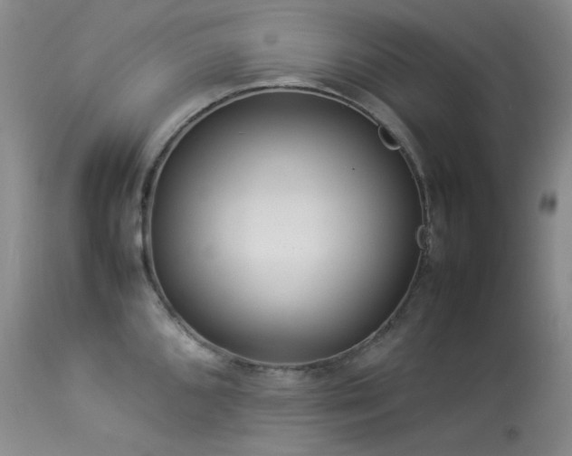 X0000114111096200910051507