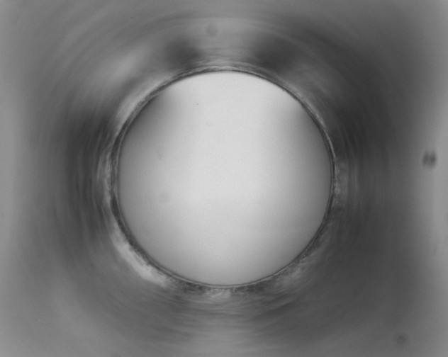 X0000114111098200910051507