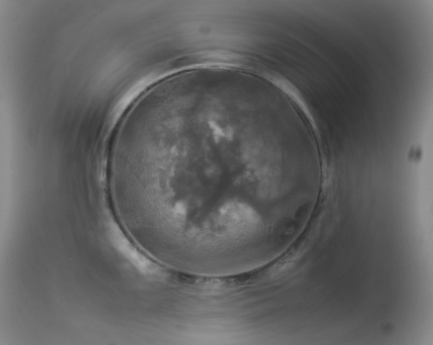X0000114111099200910051507