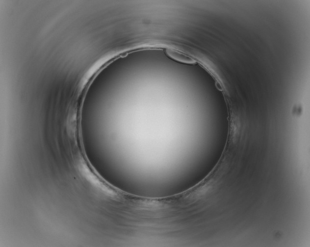 X0000114111100200910051507