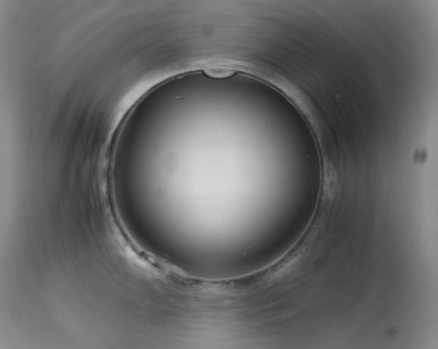X0000114111102200910051507