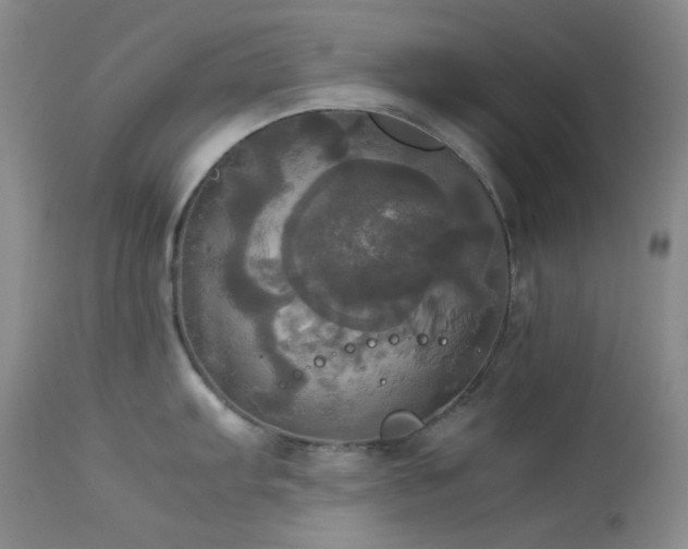 X0000114111103200910051507
