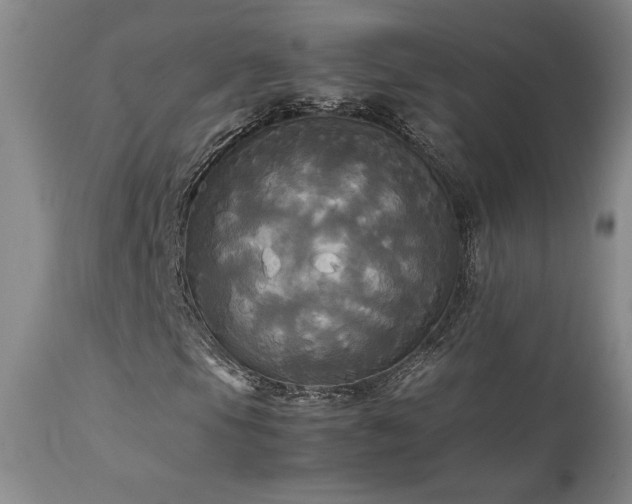 X0000114111105200910051506