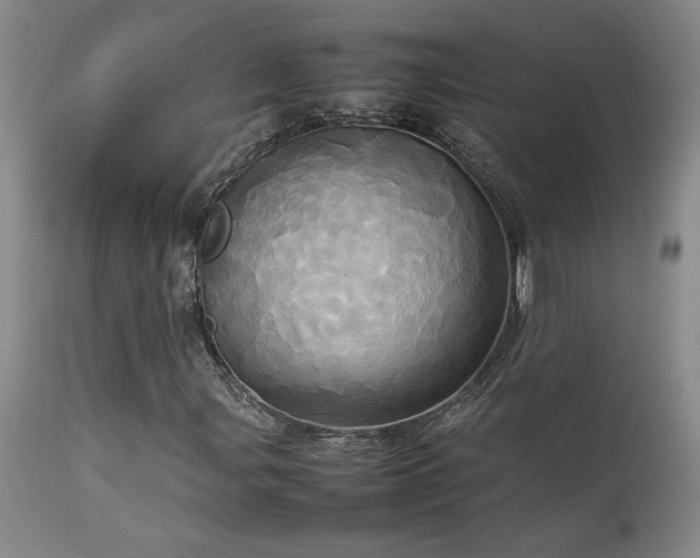 X0000114111107200910051506