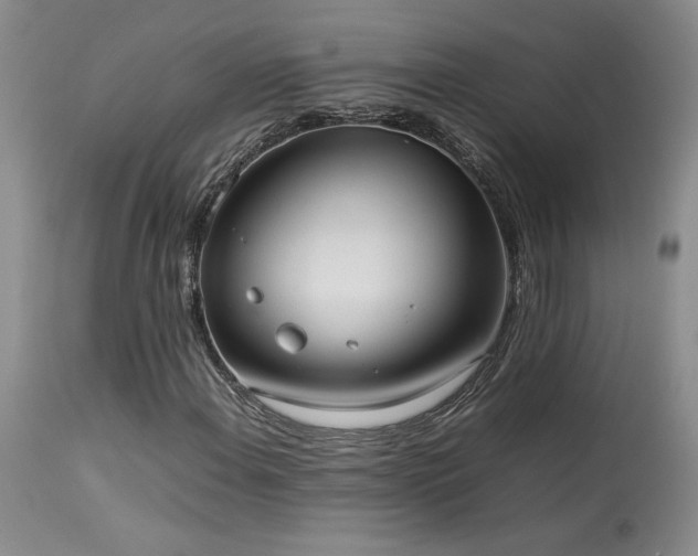 X0000114111108200910051506