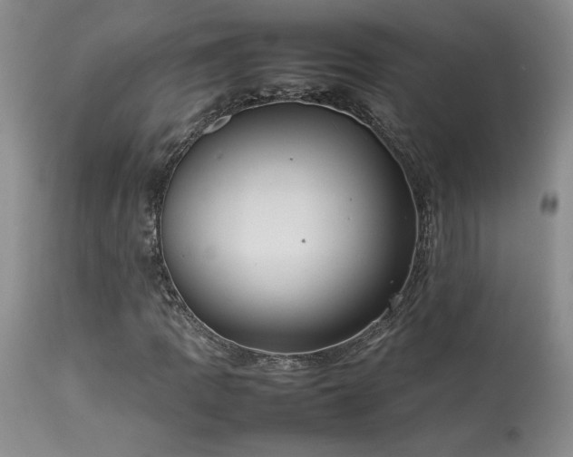X0000114111109200910051506
