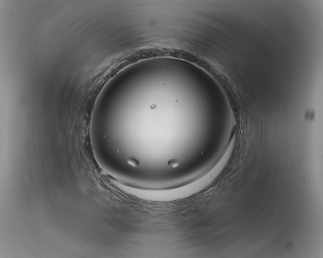 X0000114111110200910051506